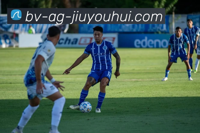 AG九游会官网发展历程